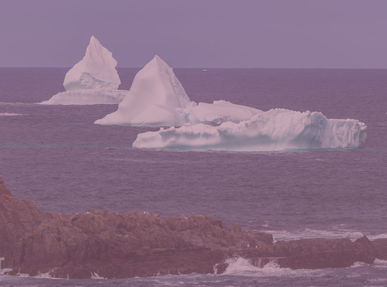 Photographie de la côte de Terre-Neuve-et-Labrador, avec un rivage rocheux et de gros icebergs dans l'eau.