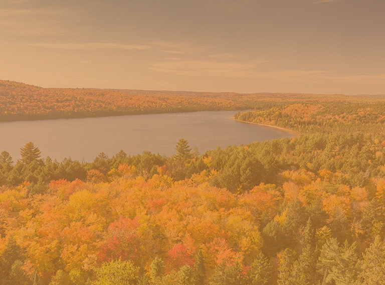 Photographie d'un lac entouré d'arbres en Ontario.